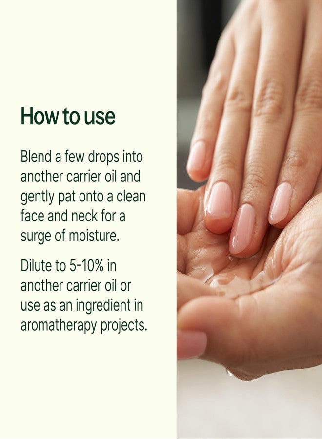 بلانت ثيرابي زيت ثمر الورد العضوي من بلانت ثيرابي، 113 مل، للبشرة والشعر، معصور على البارد، يدعم ترطيب البشرة، يقلل من الخطوط الدقيقة والتجاعيد، زيت بكر ممتاز، غني بفيتامينات أ و هـ والأحماض الدهنية الأساسية. - Image 2